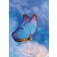 Természet Butterfly A/4 gumis mappa