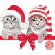 Cicás Christmas Hats szalvéta 20 db-os 33x33 cm