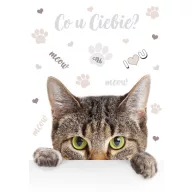 Mačkasto Meow Mapa A4 s gumicom