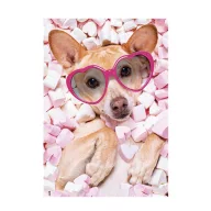 Psi Marshmallow Mapa s gumicom A/4