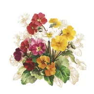 Cvijet Vintage Primrose salveta 20 kom 33x33 cm