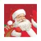 Božić Santa Claus i salveta 20 kom 33x33 cm FSC