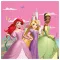 Disney Princeze Create Your World ubrus 20 kom 33x33 cm FSC