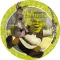 Shrek Adventure papírtányér 8 db-os 23 cm FSC