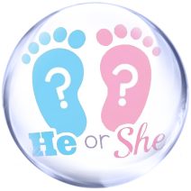 Első születésnap, Babaváró